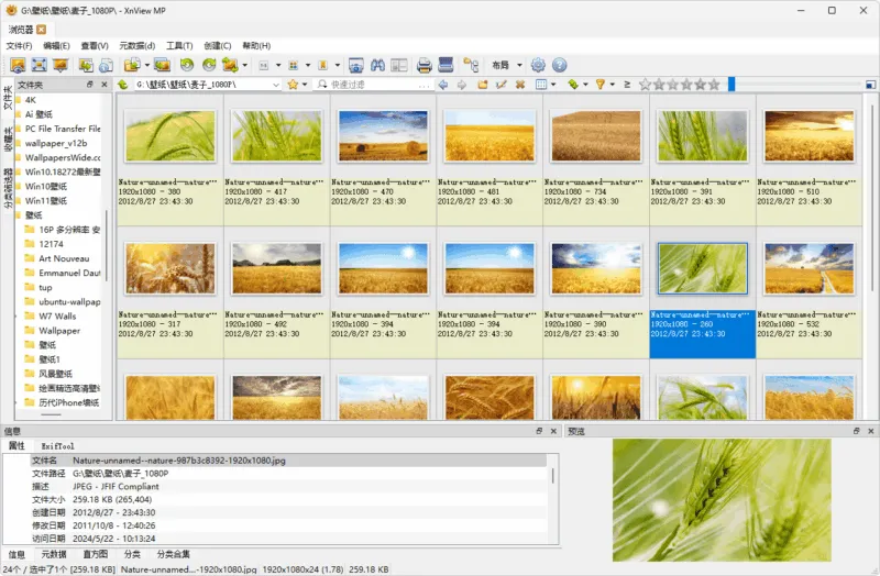 图片浏览查看工具 | XnView MP（v1.11.2.0）-软件工具箱