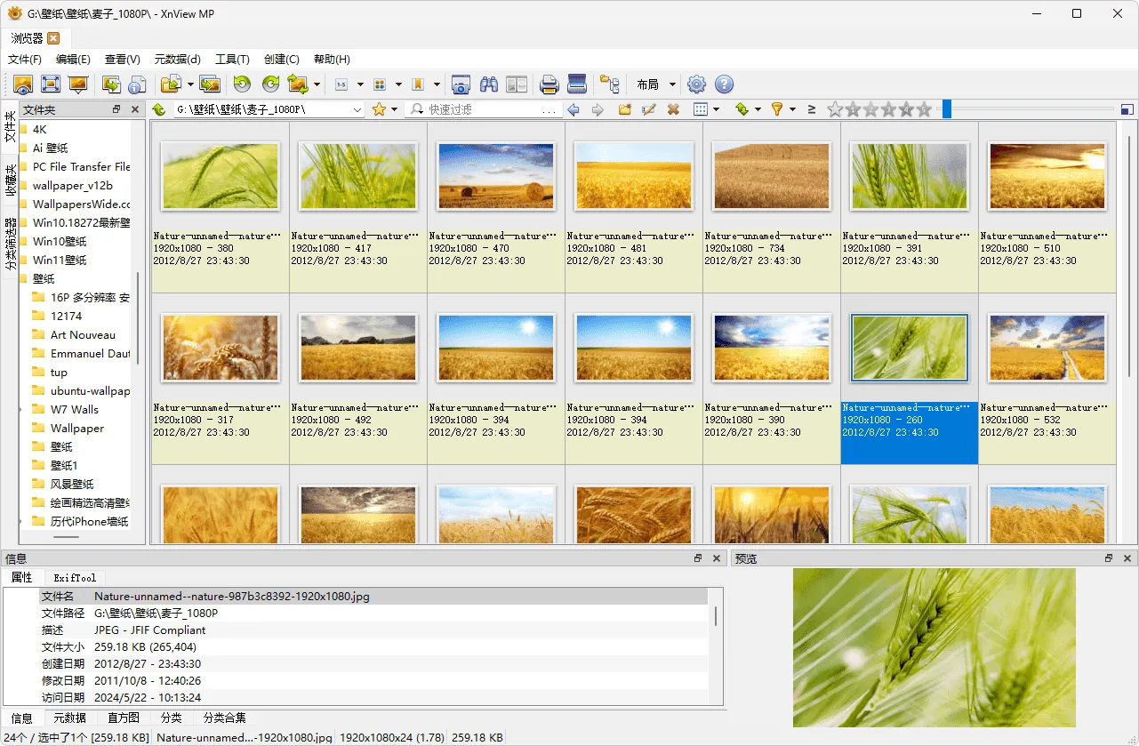 图片[1]-图片浏览查看工具 | XnView MP（v1.11.2.0）-软件工具箱