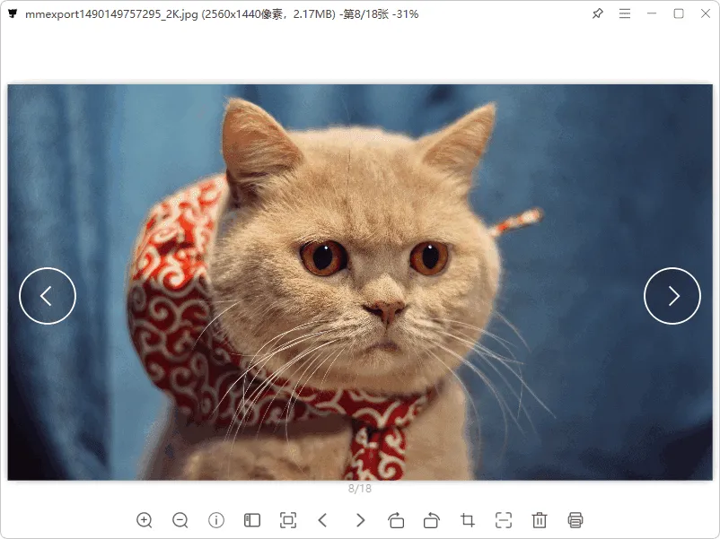 图片[1]-简单清爽看图软件 | 灵猫看图 (1.1.2)-软件工具箱
