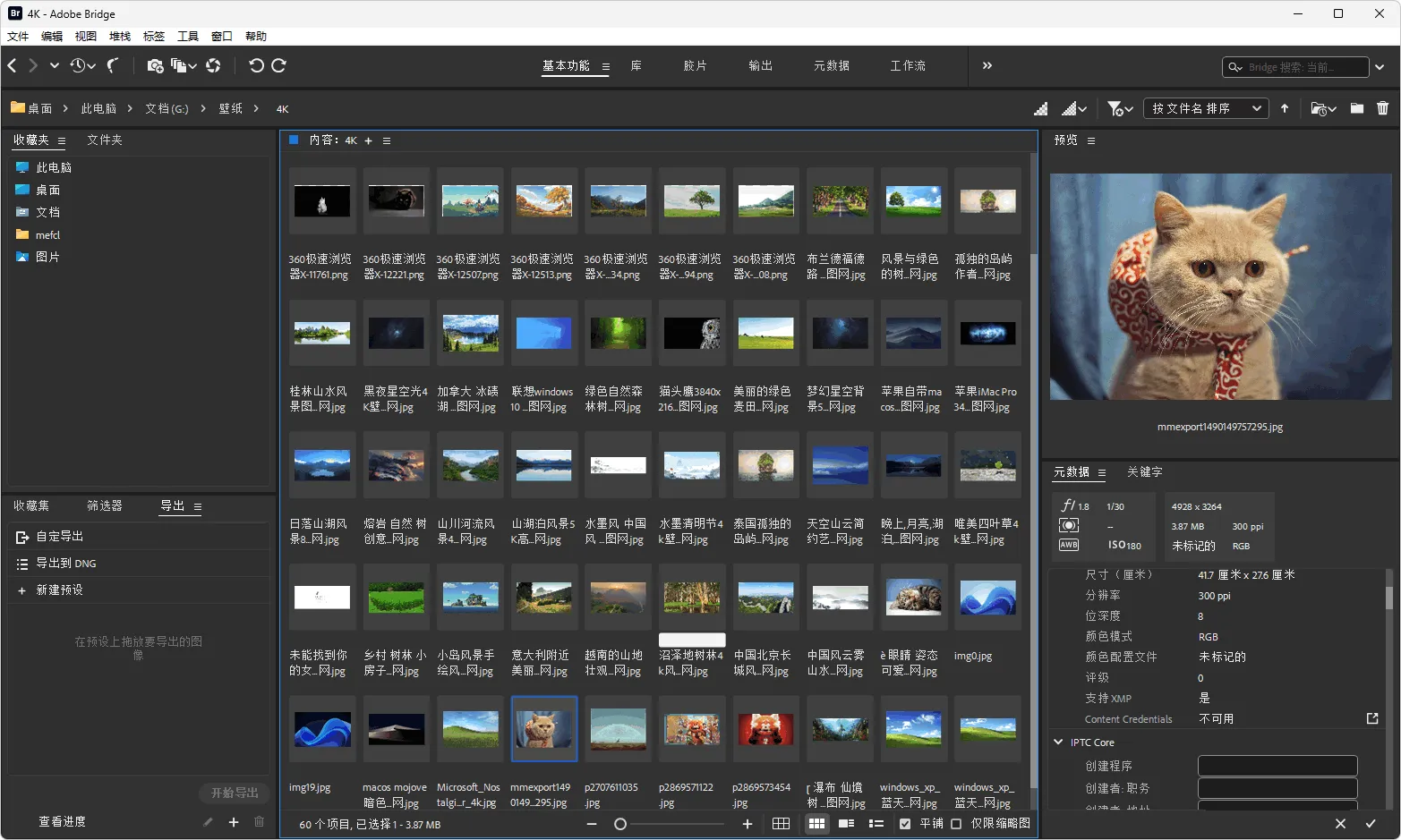 图片[2]-Adobe Bridge 2025 安装版（v16.0.1）-软件工具箱