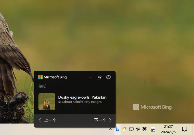 图片[2]-必应壁纸 | Bing Wallpaper（v1.1.416.0）-软件工具箱