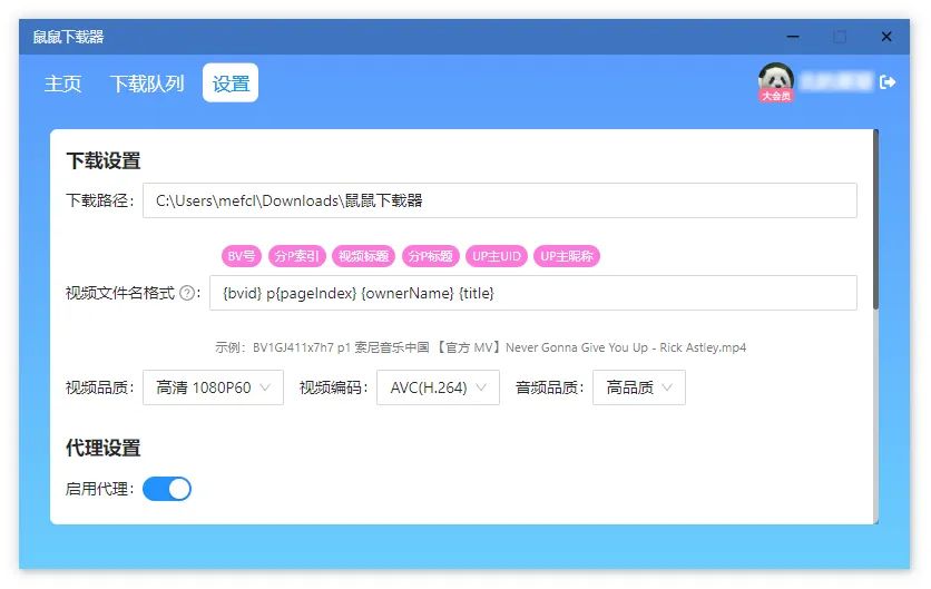 图片[3]-B站视频下载工具 鼠鼠下载器 | DoubleMouseDownloader（1.1.1）-软件工具箱