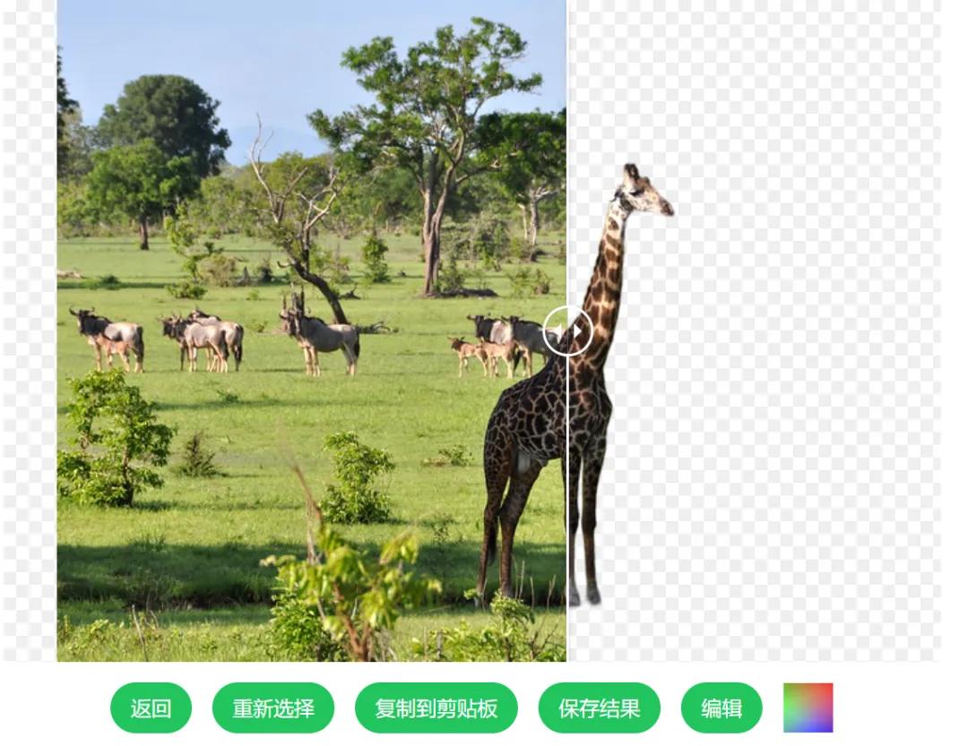 图片[2]-本地离线AI抠图神器 | AI抠图工具ImageMatting | 241期（v0.2.5）-软件工具箱